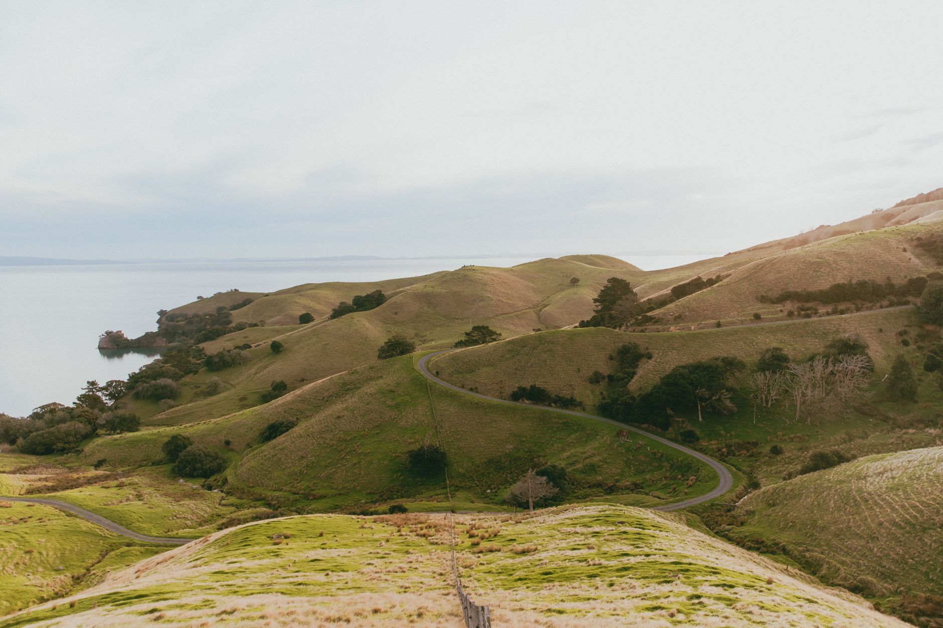 Clear coastal drive overlooking the Pacific Ocean in New Zealand